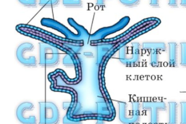 Kraken площадка