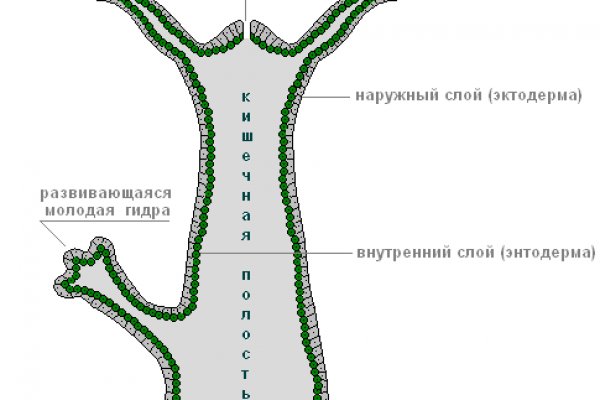 Кракен shop