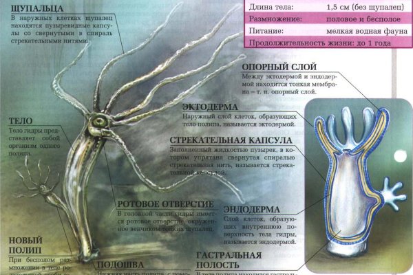 Кракен сайт krk store com