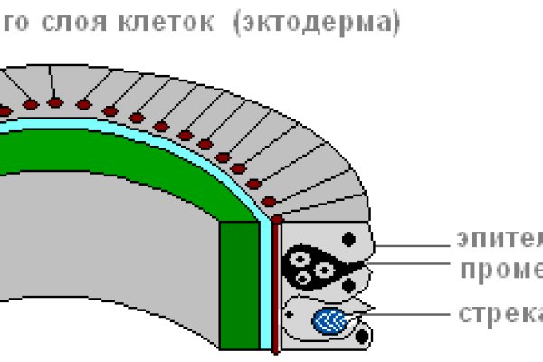 Кракен официальная ссылка зеркало