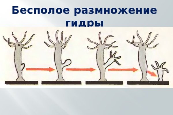 Кракен тгк