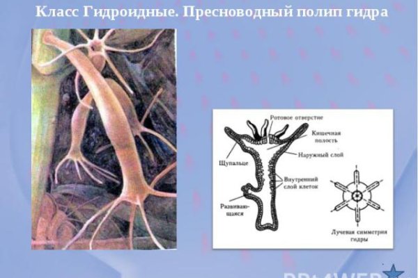 Кракен ссылка официальная