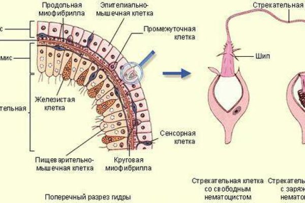 Кракен дарк сайт
