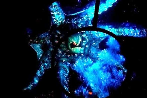 Kraken official