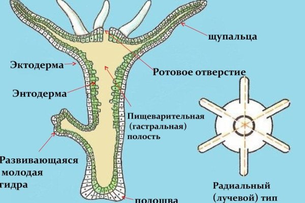 Кракен тор kraken dark
