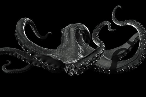 Ссылка для входа на сайт kraken