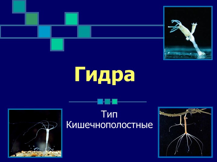 Кракен новый маркетплейс