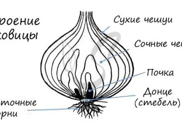 Кракен даркнет войти