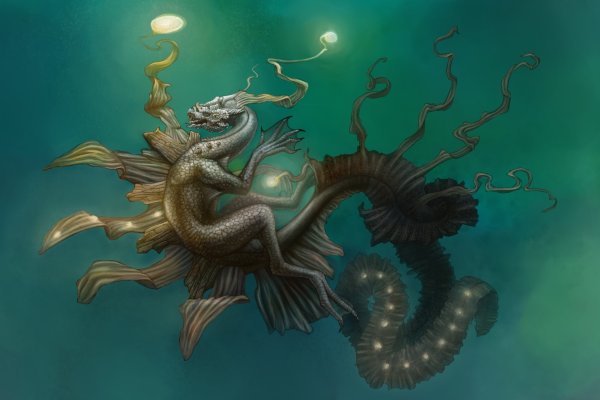 Kraken onion link