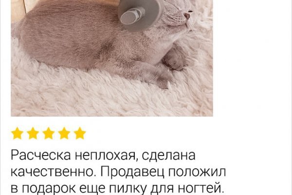 Кракен в россии наркотик